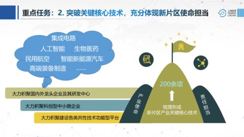 圖解 臨港新片區(qū)前沿產(chǎn)業(yè)發(fā)展“十四五”規(guī)劃之醫(yī)學(xué)研究和試驗(yàn)發(fā)展